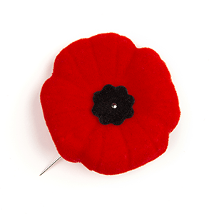 legion-history-of-the-poppy-wbg-resized6924831686922218690.png